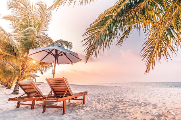 Zwei Liegen unter einem Sonnenschirm am Strand, umgeben von Palmen und einer ruhigen Meereskulisse.