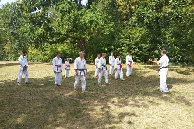 Gruppe von Karateka in weißem Gi und farbigen Gurten übt im Freien unter einem Baum mit einem Trainer.