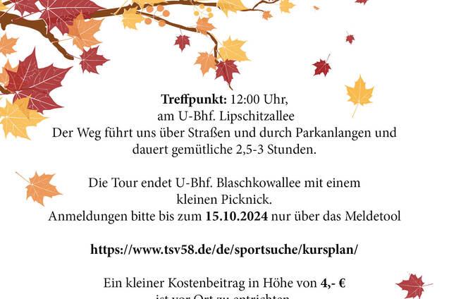 Ein Plakat zur Herbstwanderung am 20. Oktober 2024 mit Informationen zu Treffpunkt, Dauer und Anmeldung, umgeben von buntem Laub.