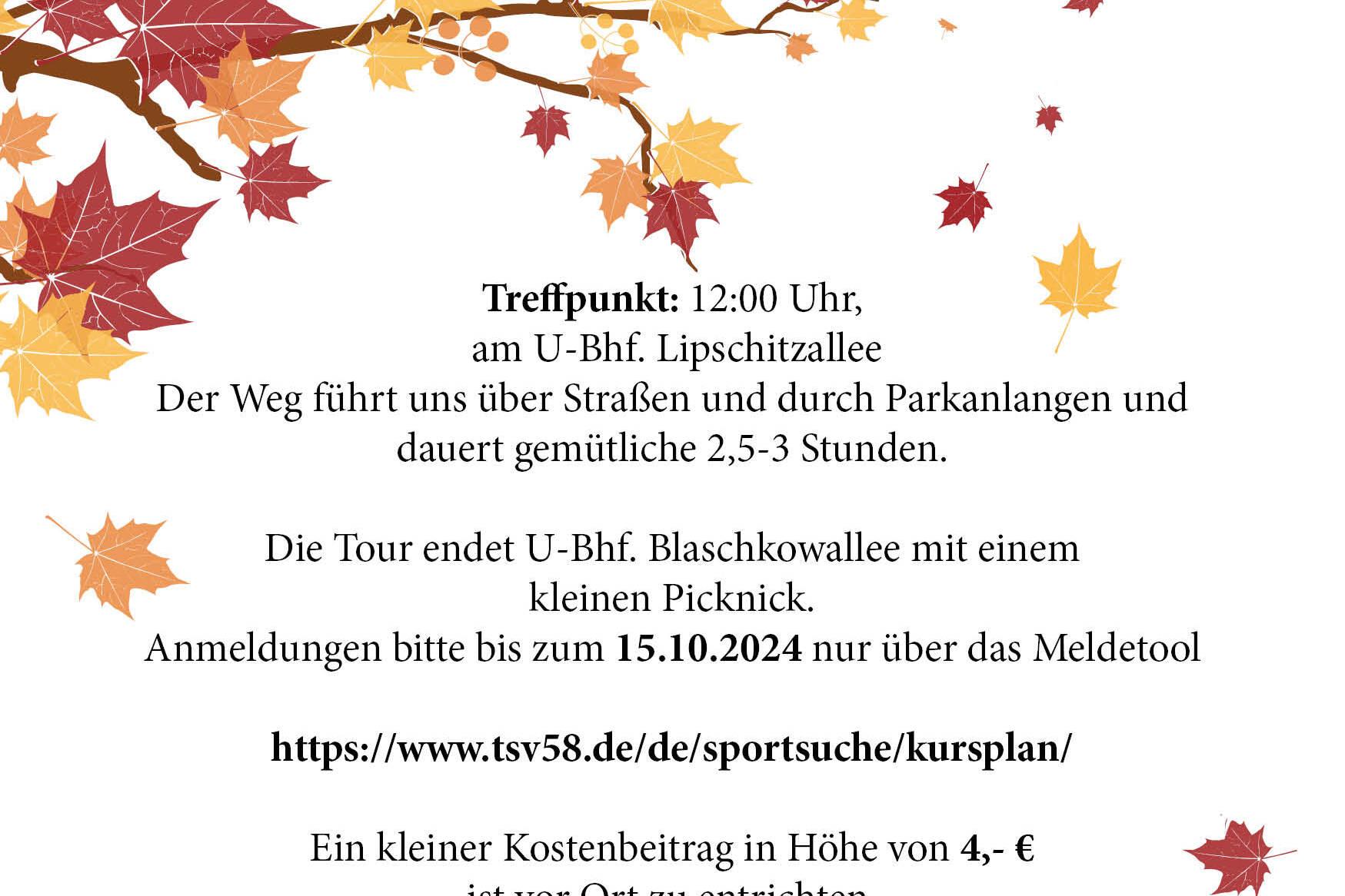 Ein Plakat zur Herbstwanderung am 20. Oktober 2024 mit Informationen zu Treffpunkt, Dauer und Anmeldung, umgeben von buntem Laub.